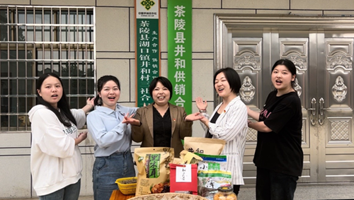 校村“双向赋能” 助力乡村振兴——经贸物流系师生赴茶陵湖口镇井和村调研