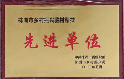 株洲市乡村振兴驻村帮扶先进单位